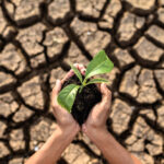 Resseguro ganha protagonismo no agro diante da escalada do risco climático e da pressão sobre o crédito rural