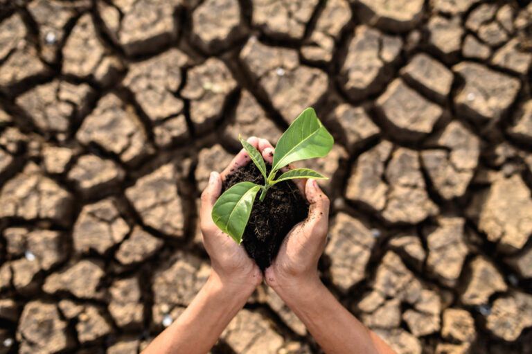 Resseguro ganha protagonismo no agro diante da escalada do risco climático e da pressão sobre o crédito rural
